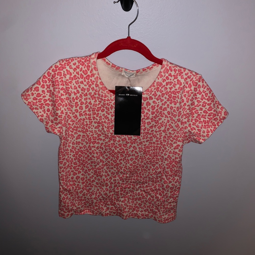 Brandy Melville Pink Cheetah Ashlyn Top